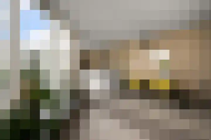 Broersven 34 Heemskerk thumbnail 12
