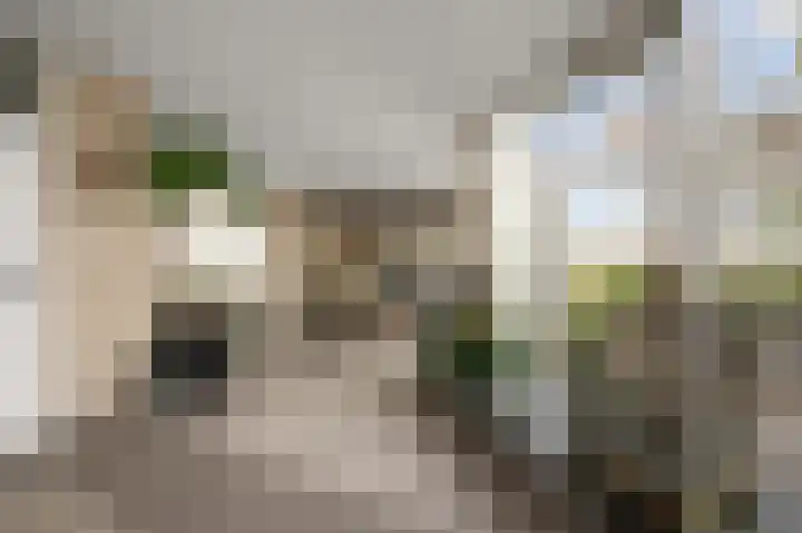 Broersven 34 Heemskerk thumbnail 13