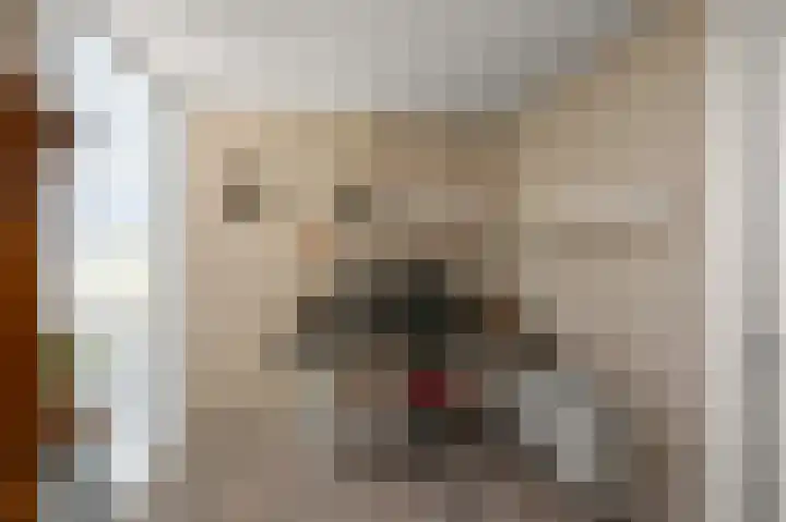 Broersven 34 Heemskerk thumbnail 15