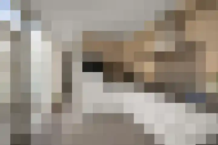 Broersven 34 Heemskerk thumbnail 18