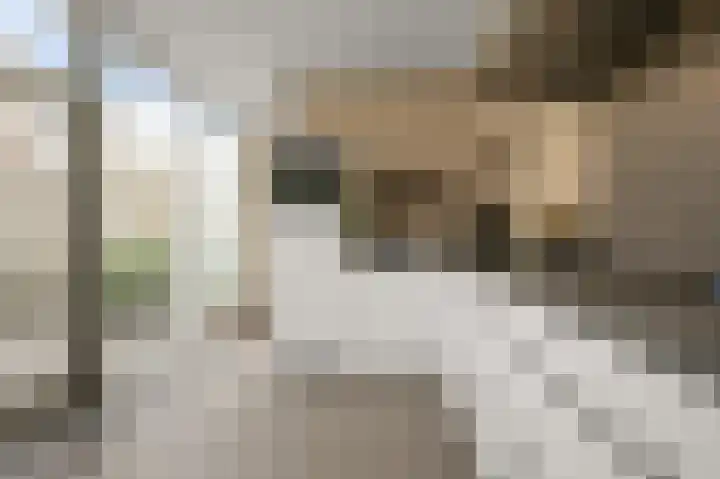 Broersven 34 Heemskerk thumbnail 21