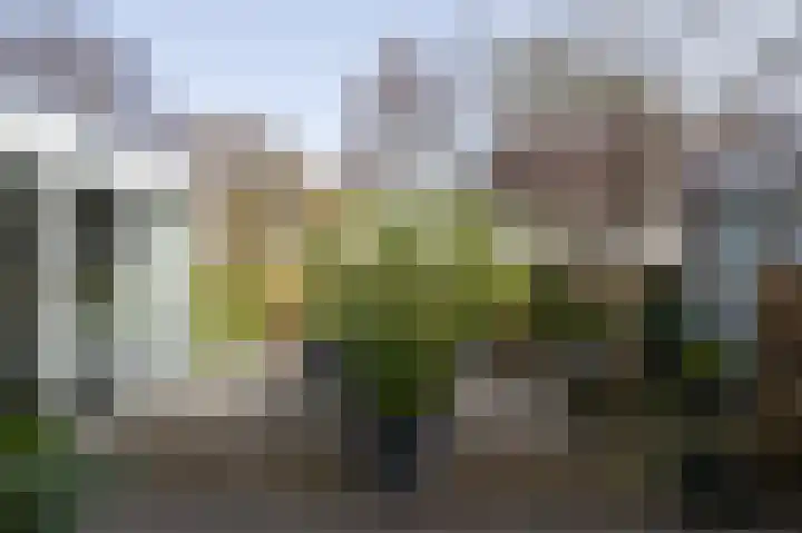 Broersven 34 Heemskerk thumbnail 22