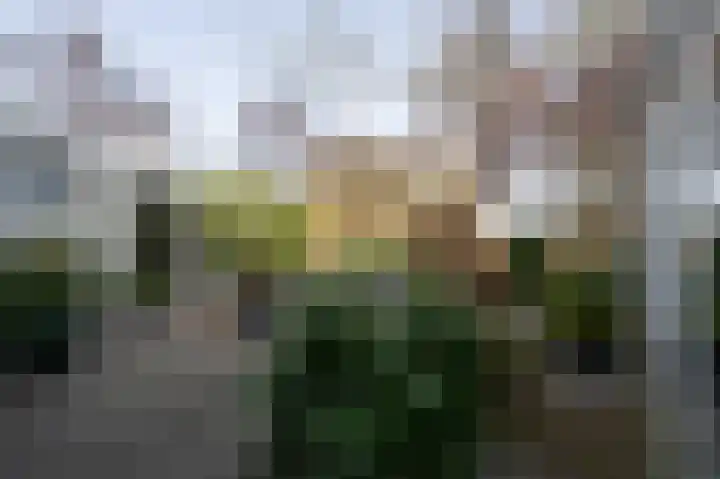 Broersven 34 Heemskerk thumbnail 23