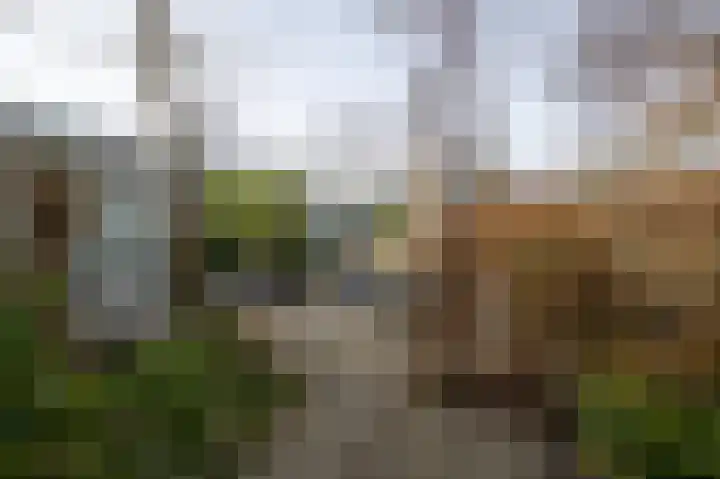 Broersven 34 Heemskerk thumbnail 25