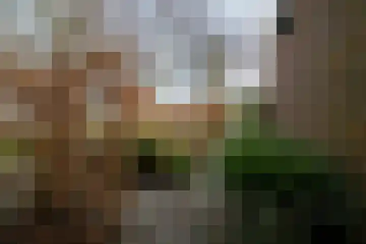 Broersven 34 Heemskerk thumbnail 26