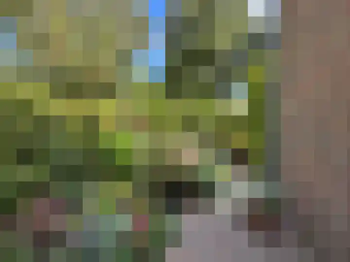 Broersven 34 Heemskerk thumbnail 35