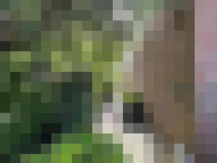 Broersven 34 Heemskerk thumbnail 36