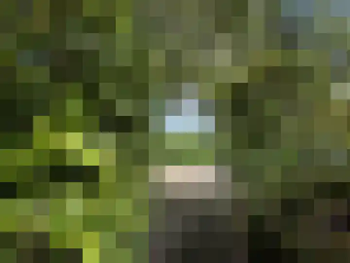 Broersven 34 Heemskerk thumbnail 37