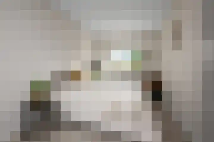 Broersven 34 Heemskerk thumbnail 45