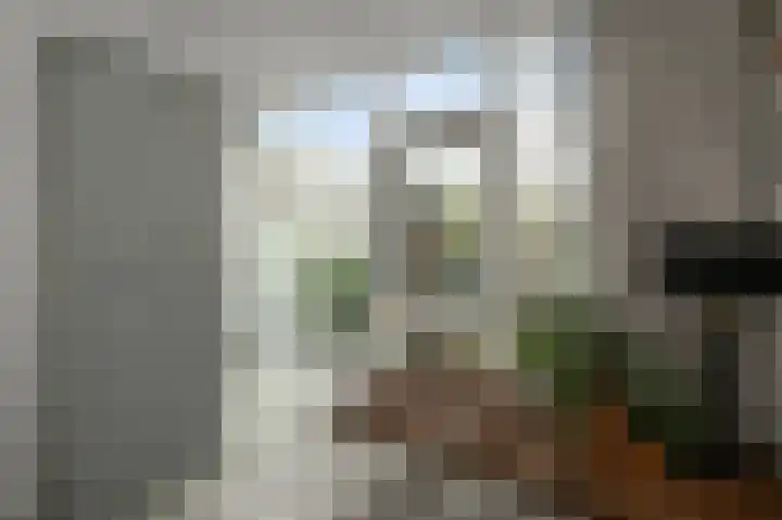 Broersven 34 Heemskerk thumbnail 49