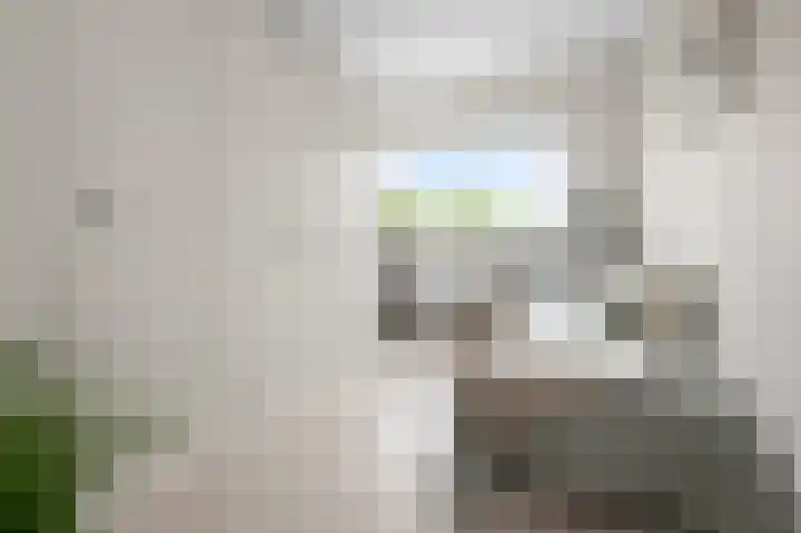 Broersven 34 Heemskerk thumbnail 51