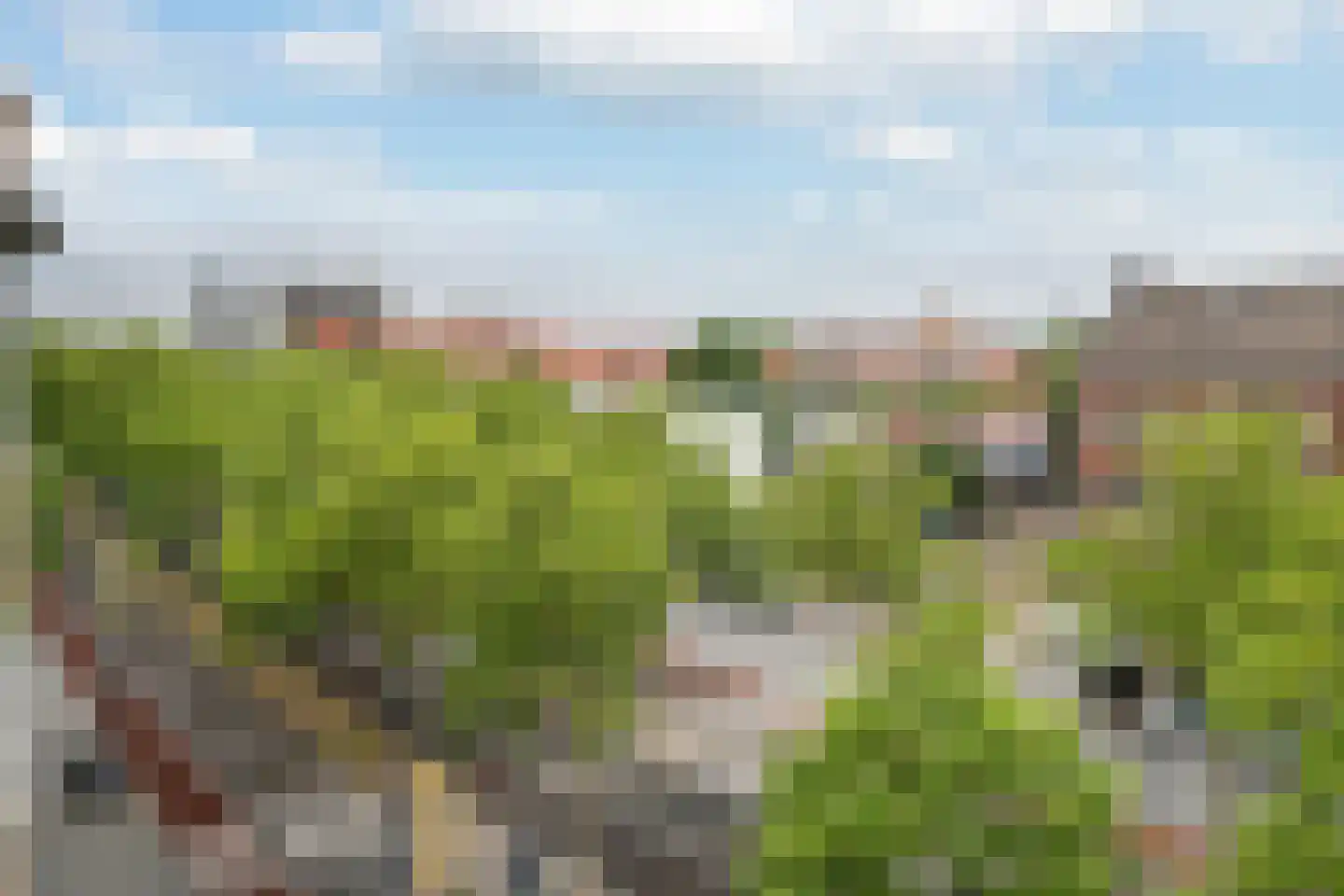 Broersvest 102 Schiedam thumbnail 14