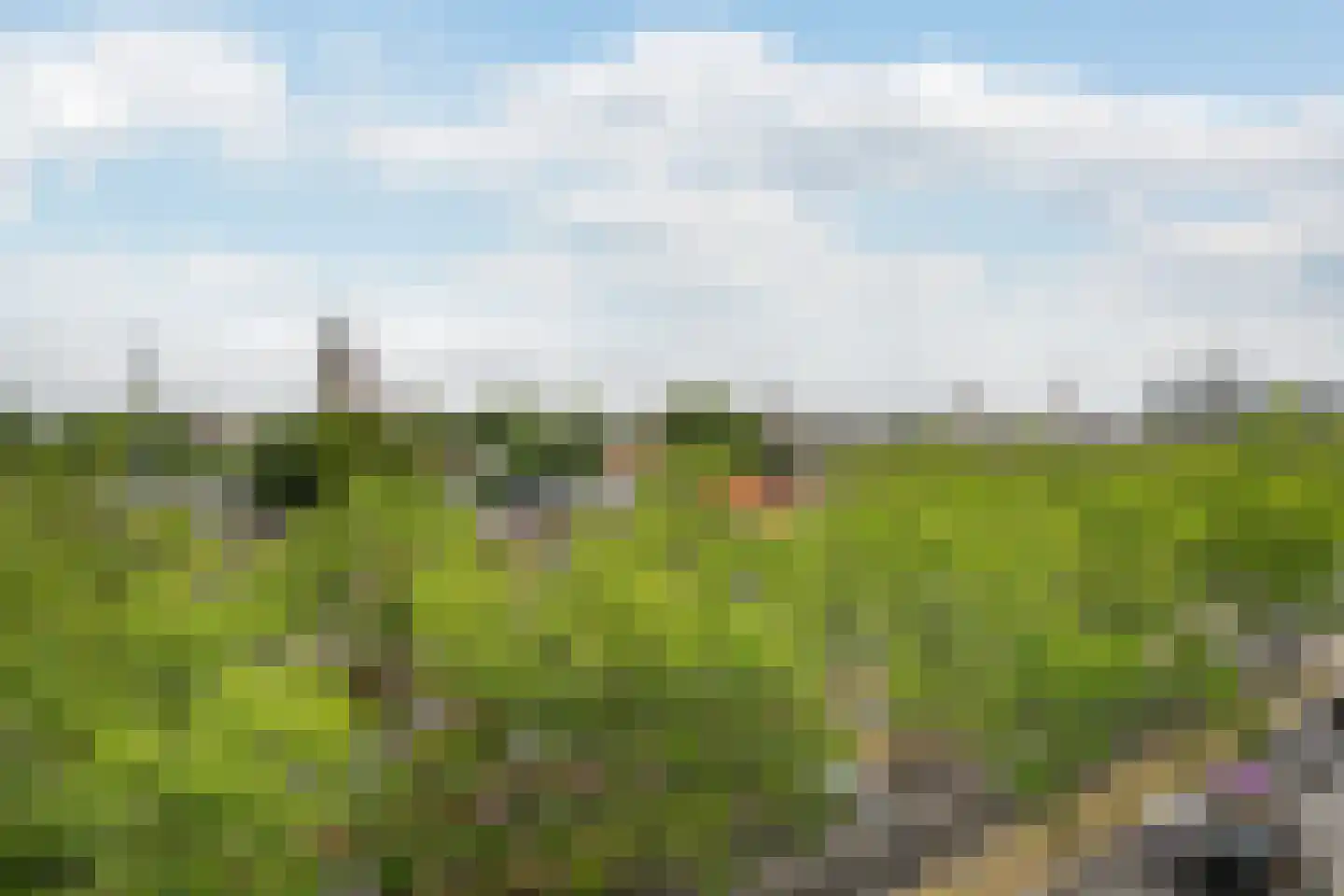Broersvest 102 Schiedam thumbnail 15