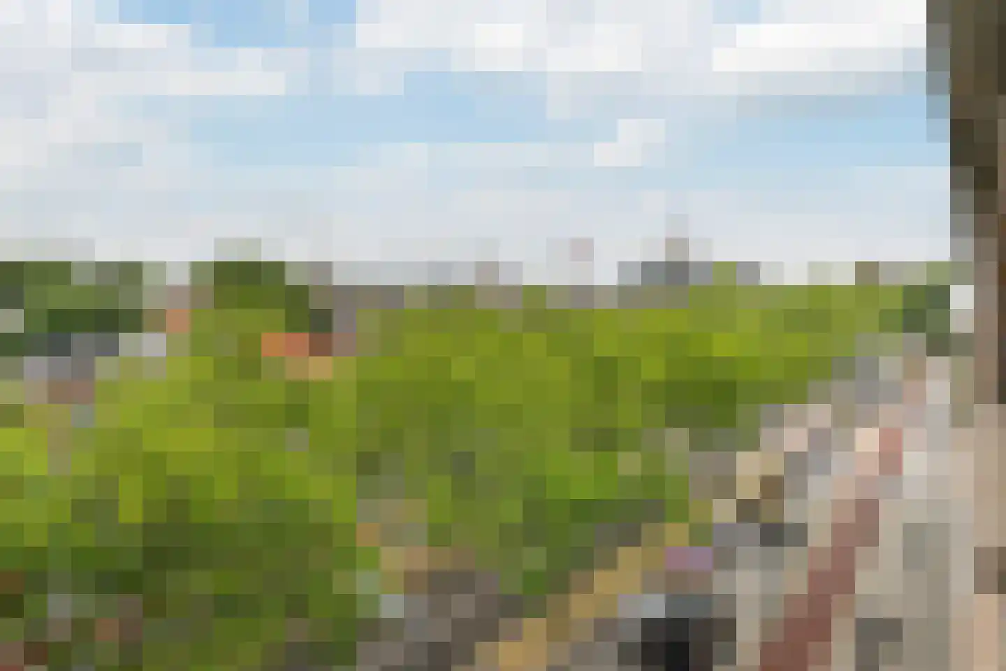 Broersvest 102 Schiedam thumbnail 16