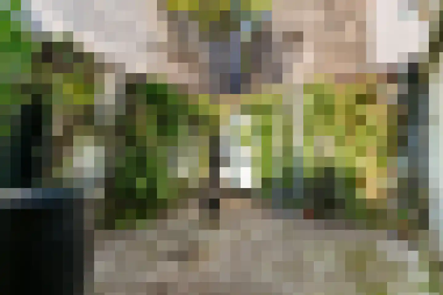 Broersvest 75 Schiedam thumbnail 21