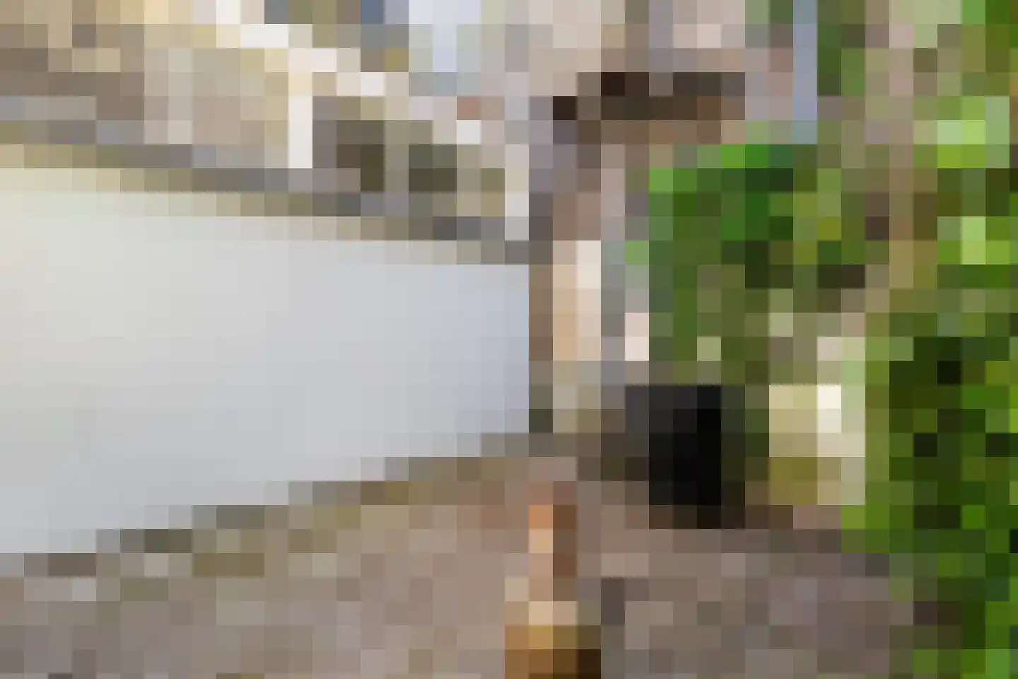Broersvest 75 Schiedam thumbnail 22