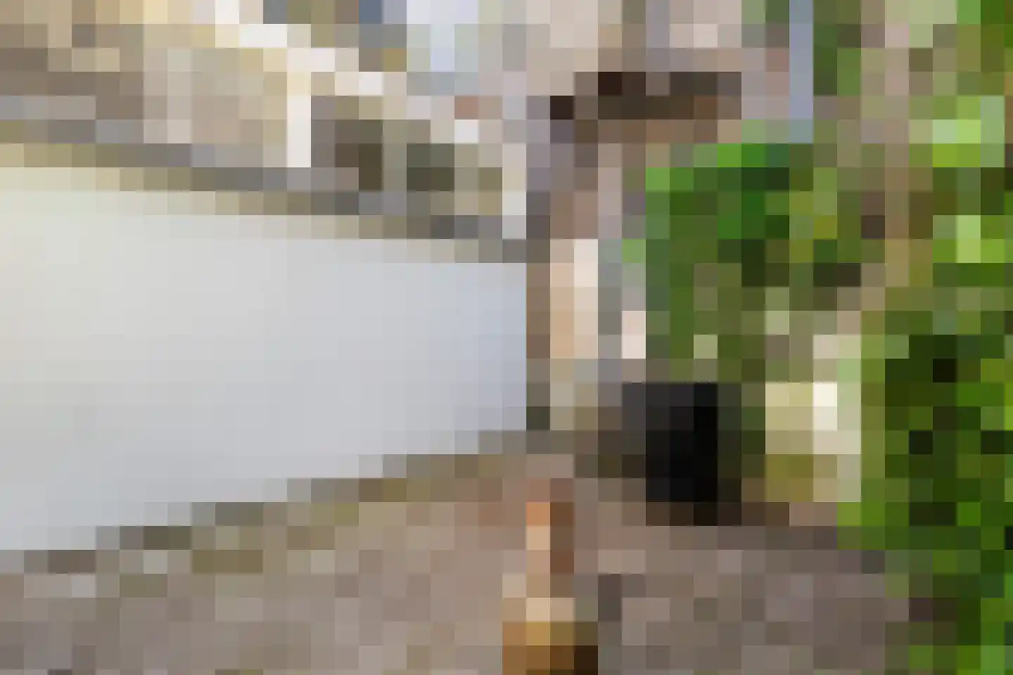 Broersvest 75 Schiedam thumbnail 22