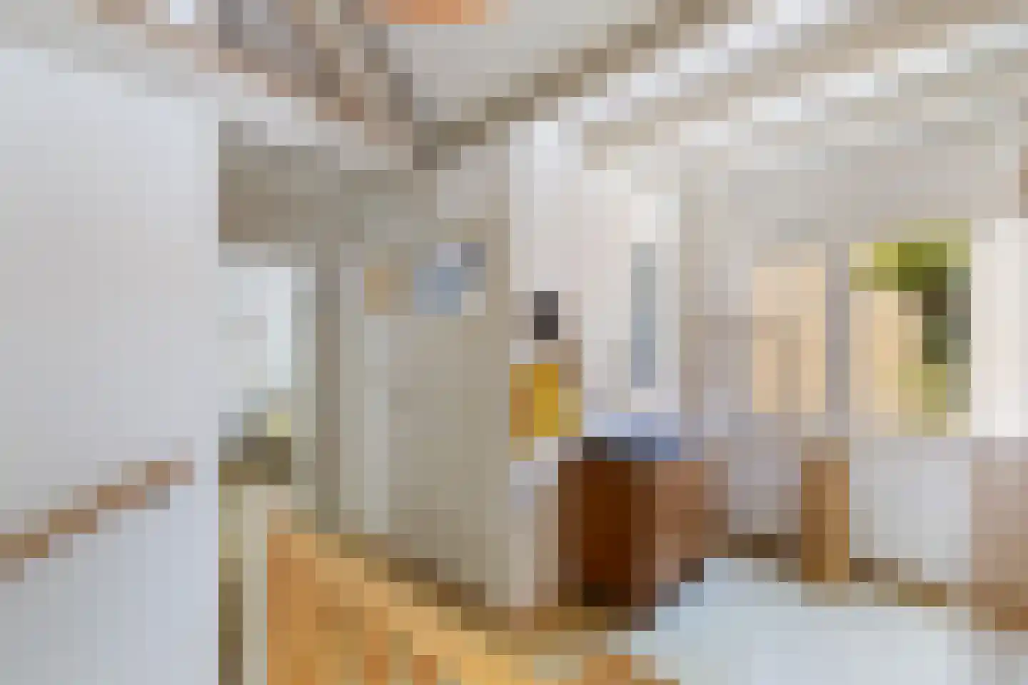 Broersvest 75 Schiedam thumbnail 37