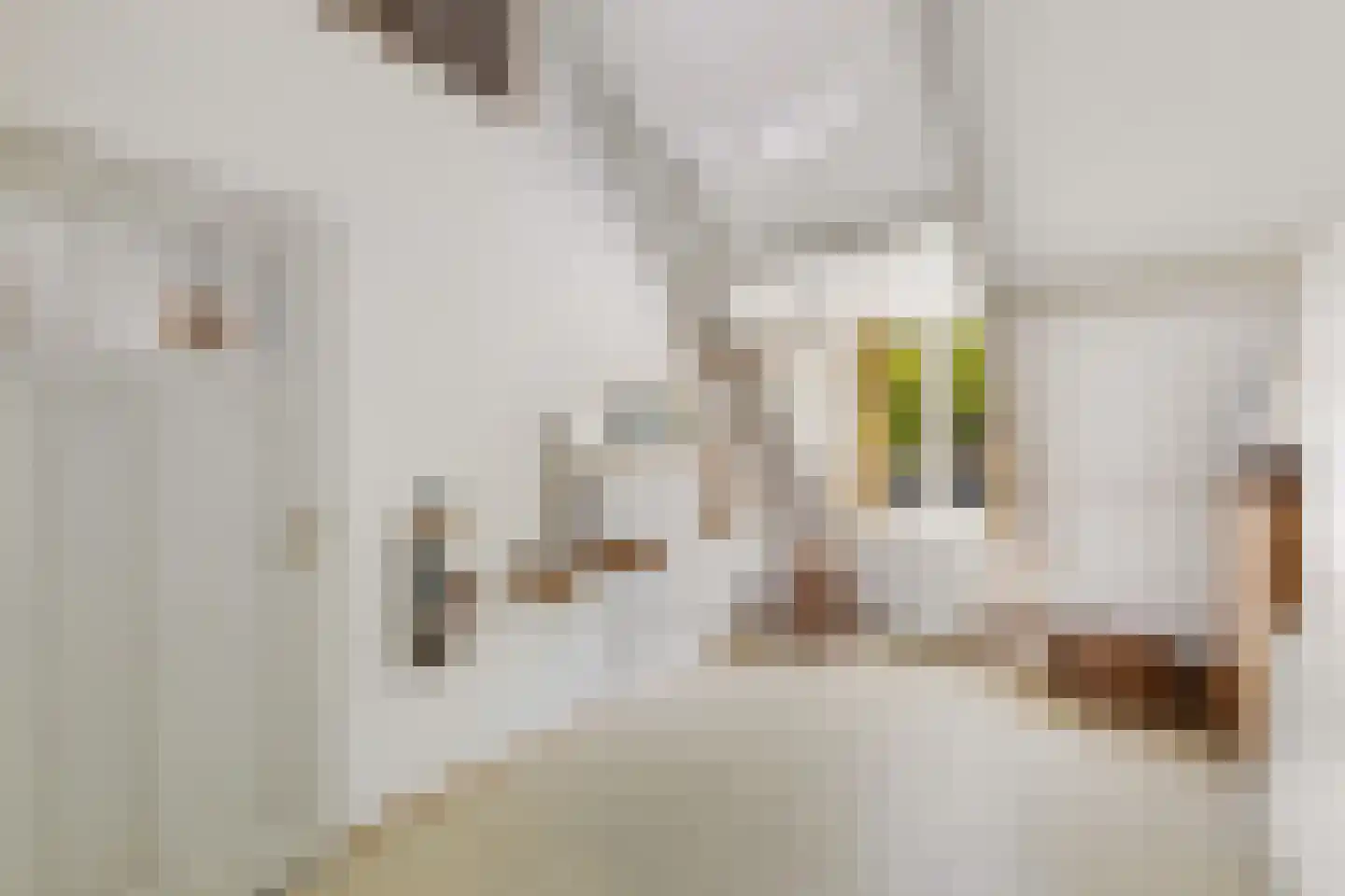 Broersvest 75 Schiedam thumbnail 41