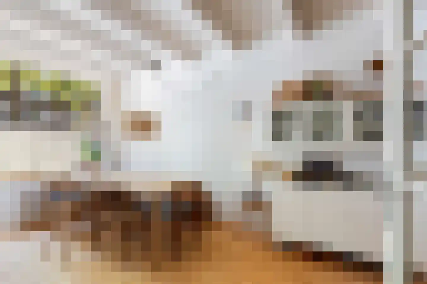 Broersvest 75 Schiedam thumbnail 8
