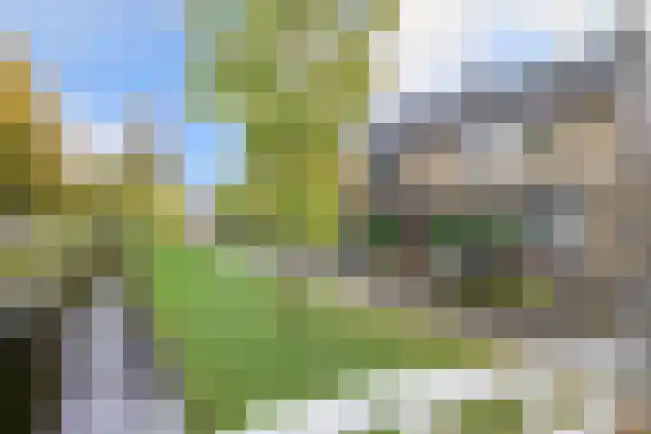 Broerswetering 39 Bunschoten-Spakenburg thumbnail 42