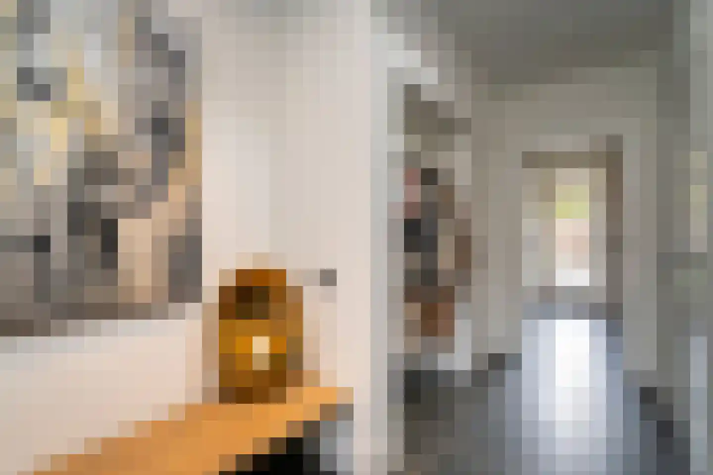 Brokkenstraat 3 Riel thumbnail 13