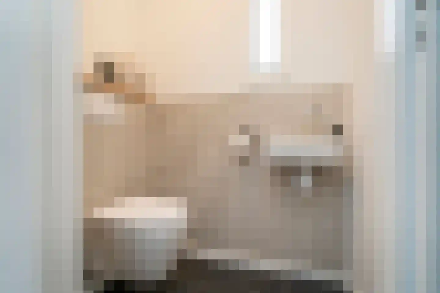 Brokkenstraat 3 Riel thumbnail 14