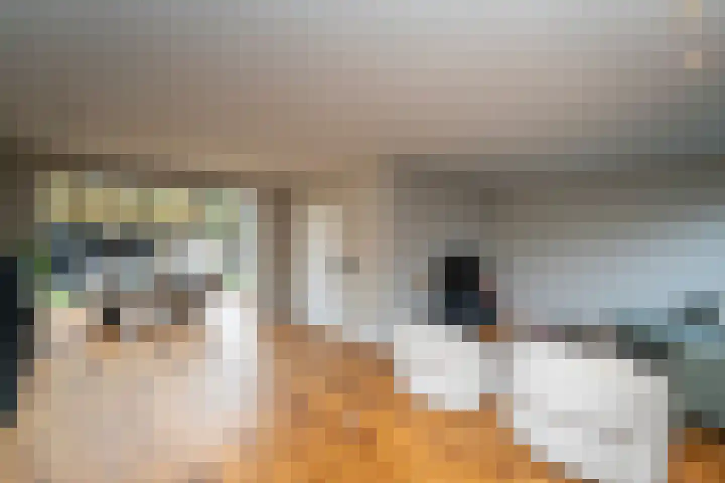 Brokkenstraat 3 Riel thumbnail 15