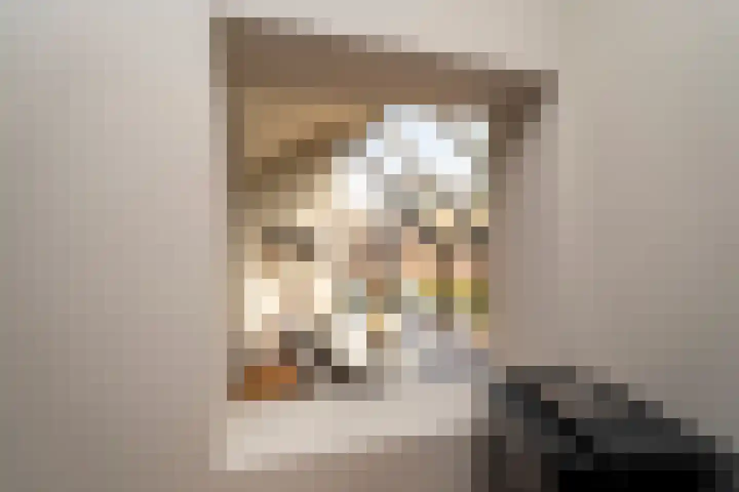 Brokkenstraat 3 Riel thumbnail 21