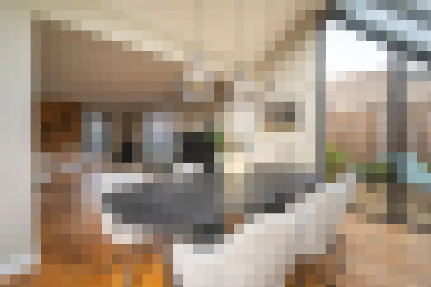 Brokkenstraat 3 Riel thumbnail 22