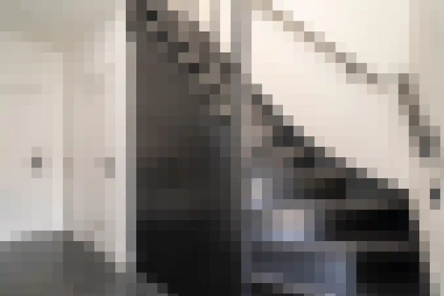 Brokkenstraat 3 Riel thumbnail 27