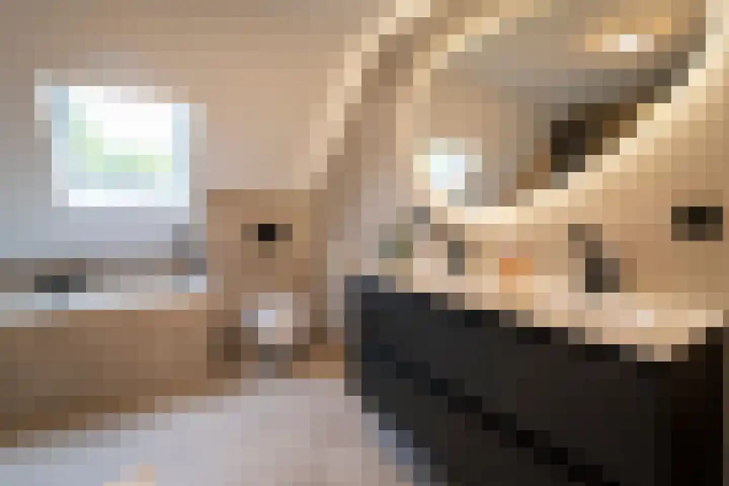 Brokkenstraat 3 Riel thumbnail 38