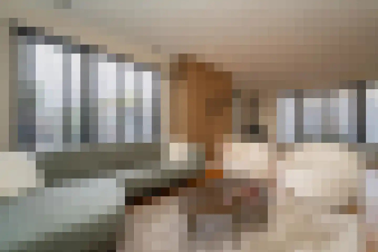 Brokkenstraat 3 Riel thumbnail 4