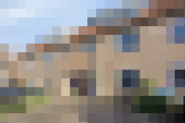 Bromelia 16 Nootdorp