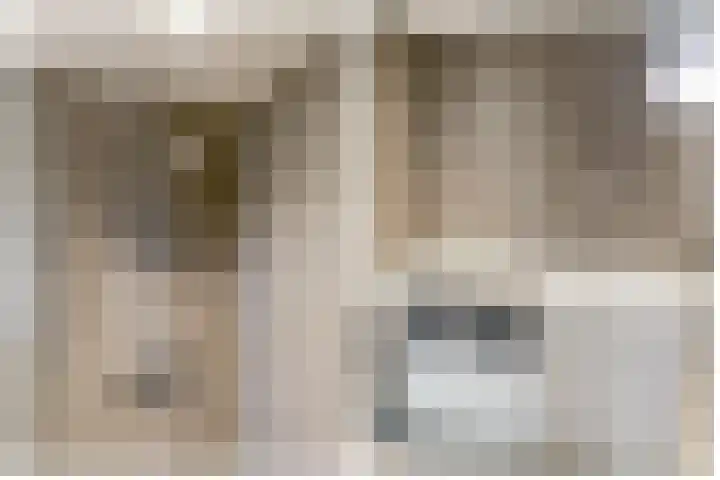 Bromelia 68 Nootdorp