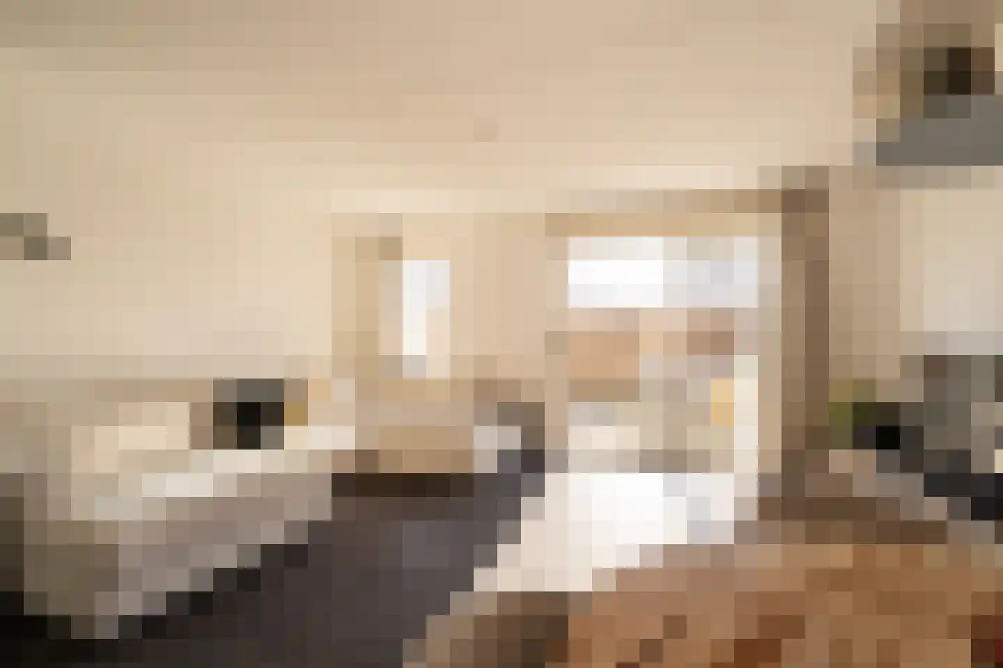 Bromelia 68 Nootdorp thumbnail 7