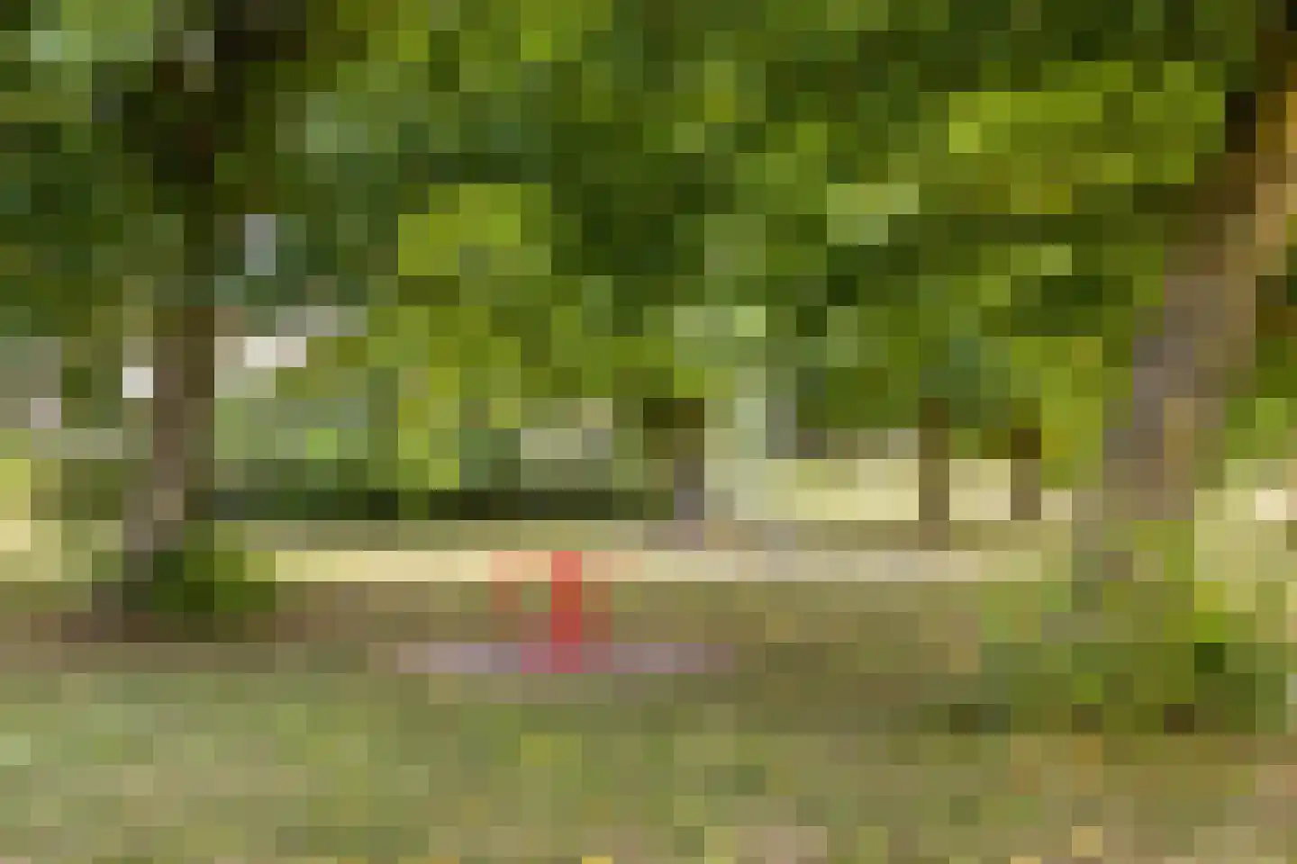 Bromeliastraat 1 Almere thumbnail 42