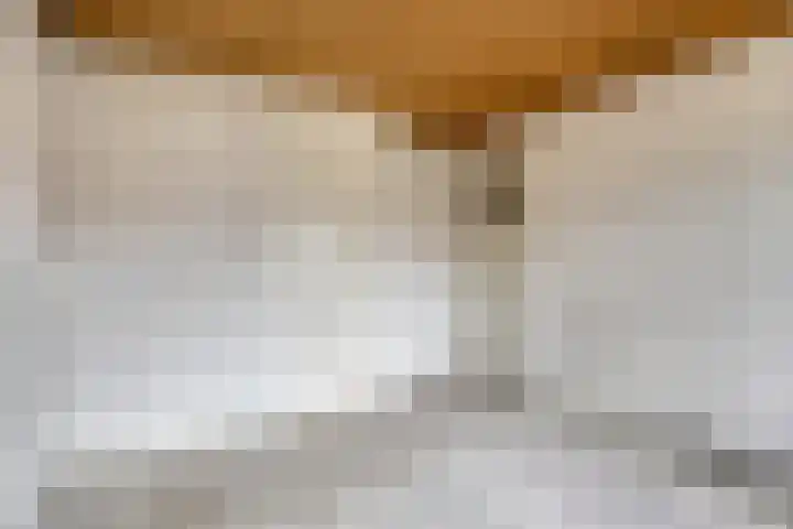 Brommastraat 32 Tilburg thumbnail 15