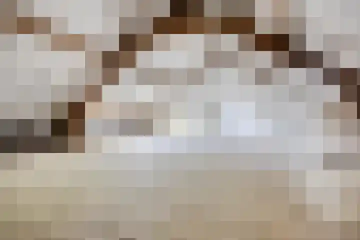 Brommastraat 32 Tilburg thumbnail 23