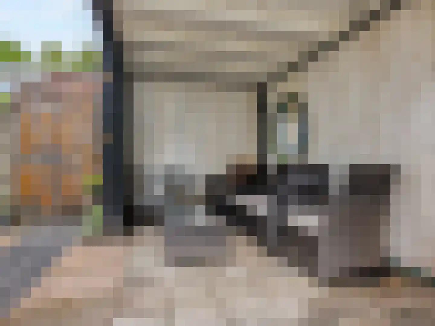 Brommastraat 33 Tilburg thumbnail 32