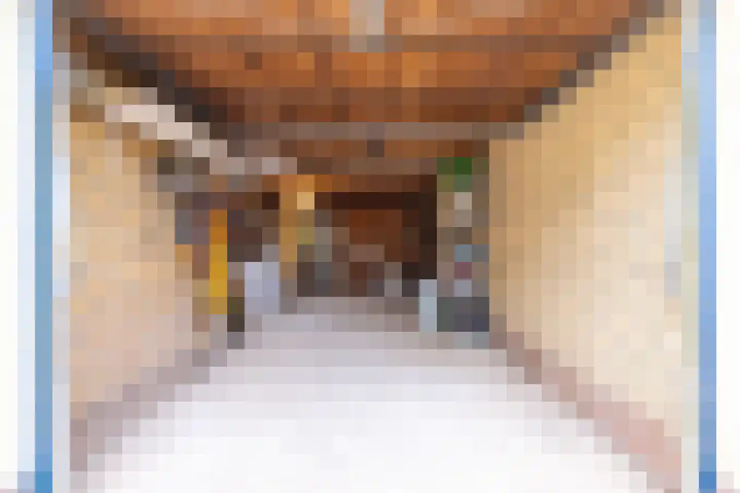 Brommelen 16 Geulle thumbnail 27