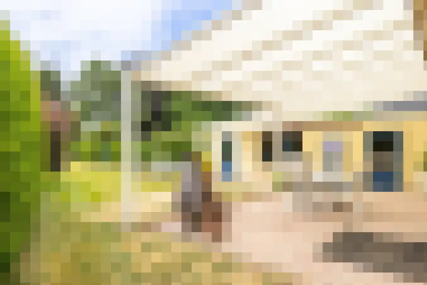Brommelen 16 Geulle thumbnail 30