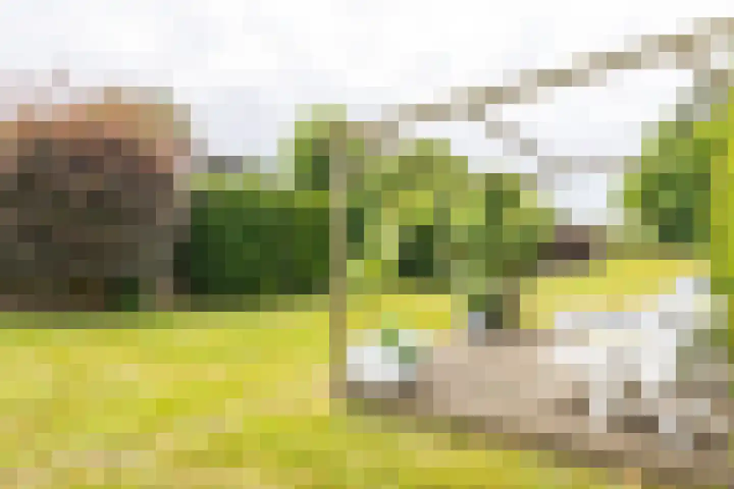 Brommelen 16 Geulle thumbnail 35
