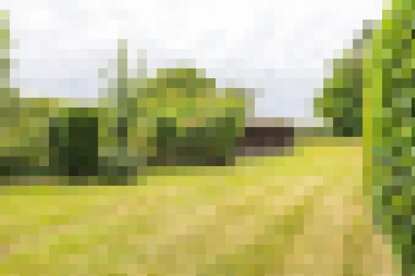 Brommelen 16 Geulle thumbnail 36