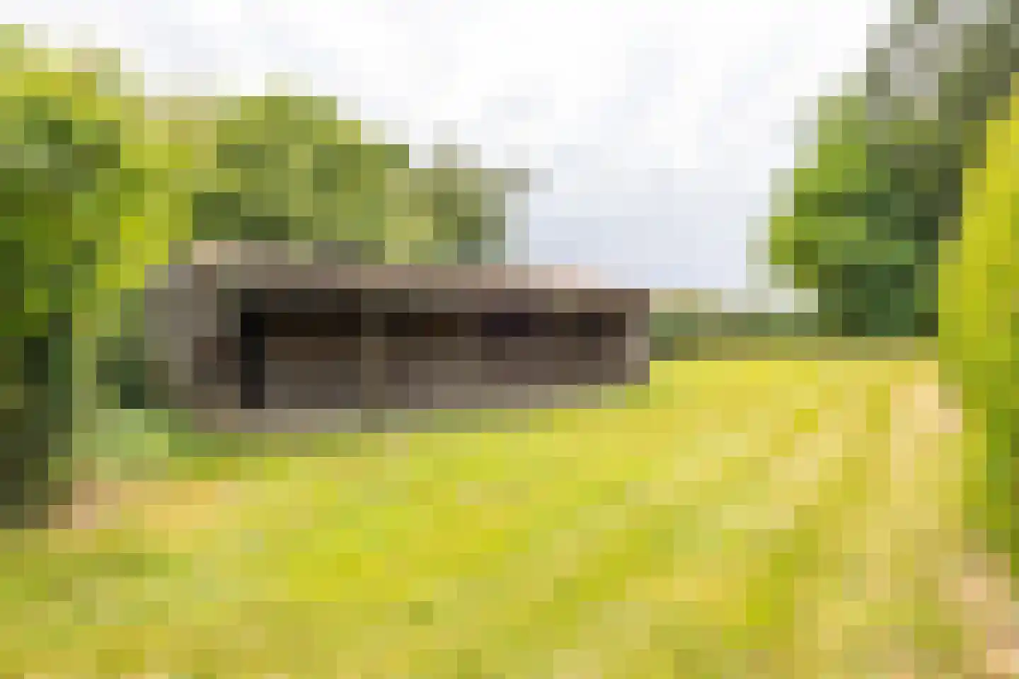 Brommelen 16 Geulle thumbnail 37