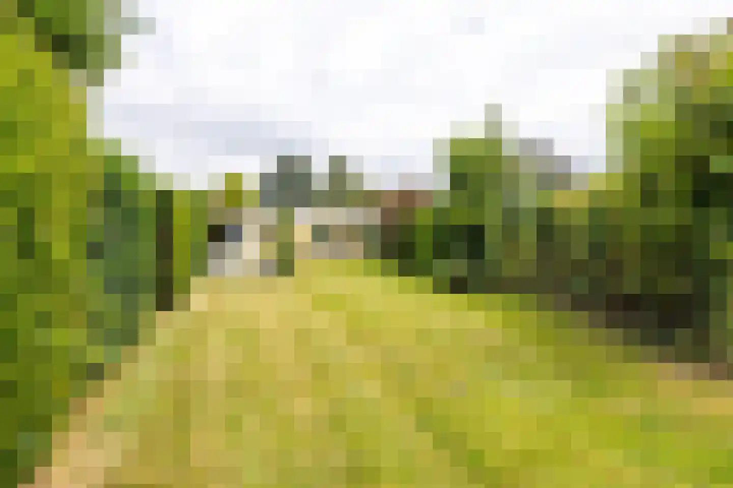 Brommelen 16 Geulle thumbnail 38