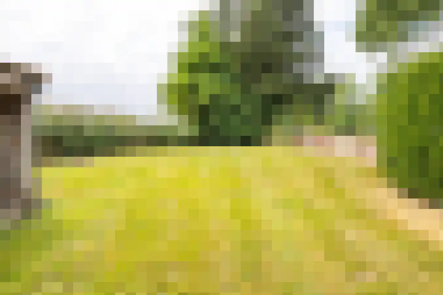 Brommelen 16 Geulle thumbnail 39