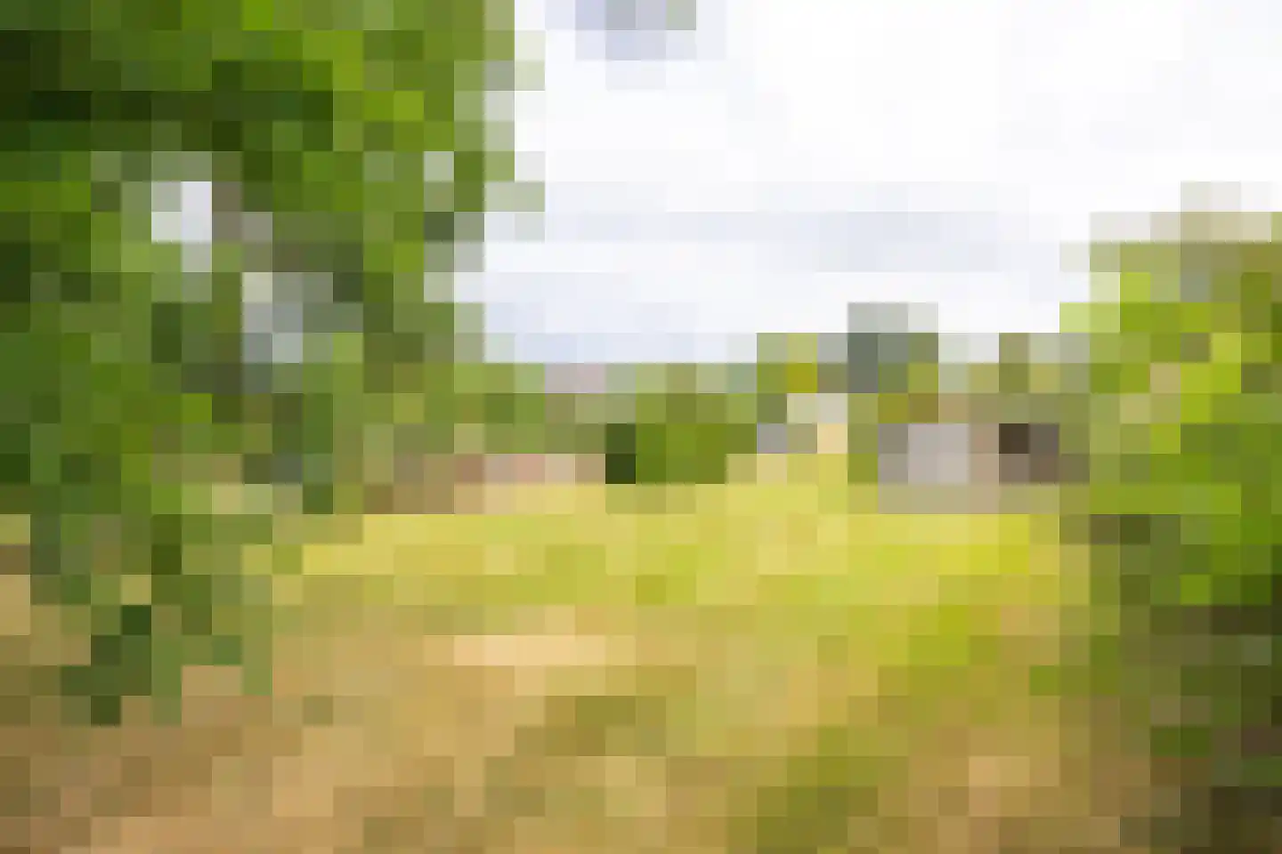Brommelen 16 Geulle thumbnail 40