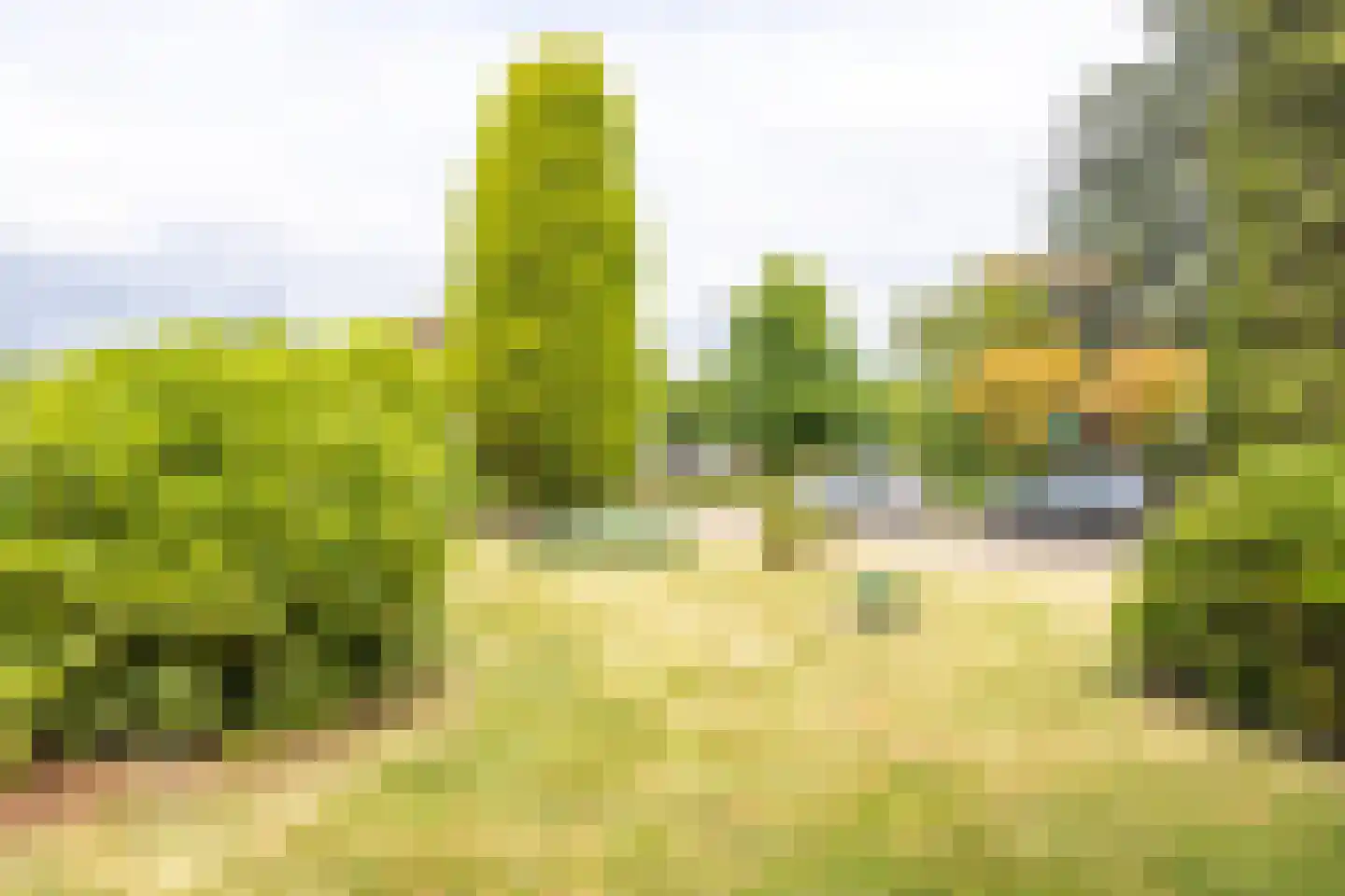 Brommelen 16 Geulle thumbnail 41