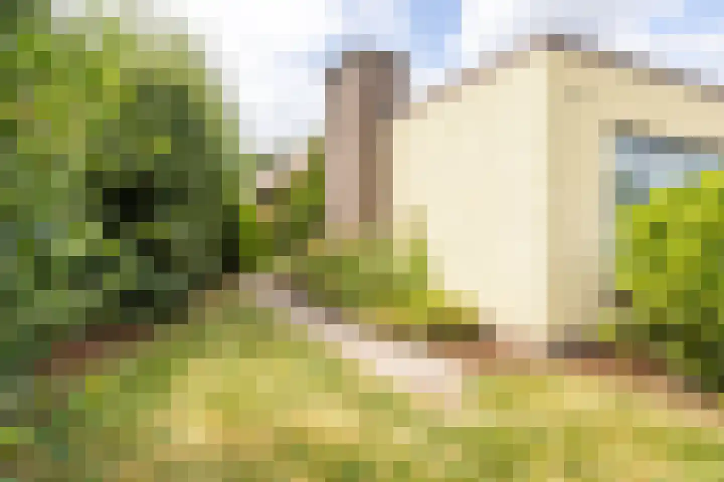 Brommelen 16 Geulle thumbnail 42